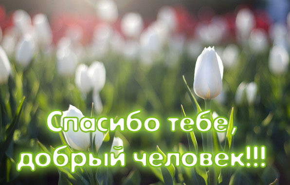 Картинки, картинки с благодарностью хорошему человеку