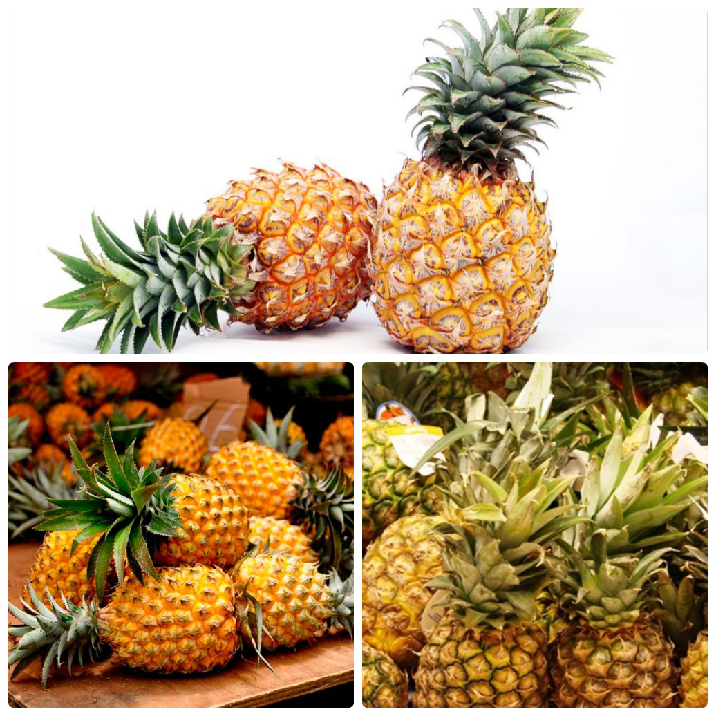 Сочные и полезные плоды ананаса