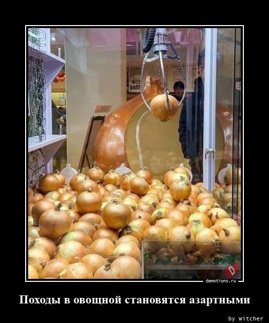 Демотиваторы – приколы: «Когда собираешься в магазин» Демотиваторы – приколы: «Когда собираешься в магазин»