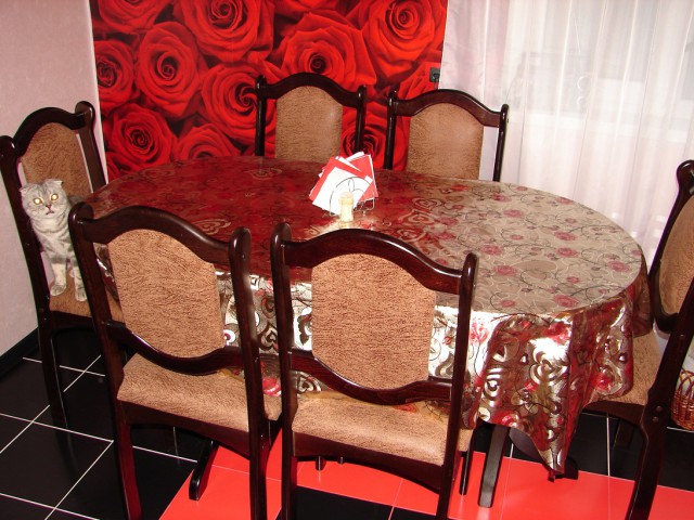 Кухня для жены. Ремонт - нескончаемый бой Кухня для жены. Ремонт - нескончаемый бой домашний очаг...