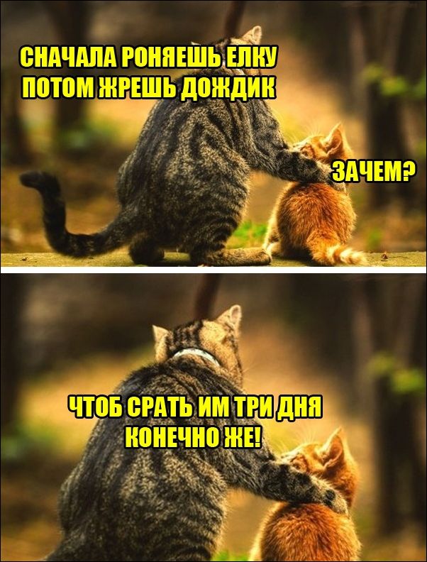 Фотоподборка вторника 27 ноября Фотоподборка вторника 27 ноября