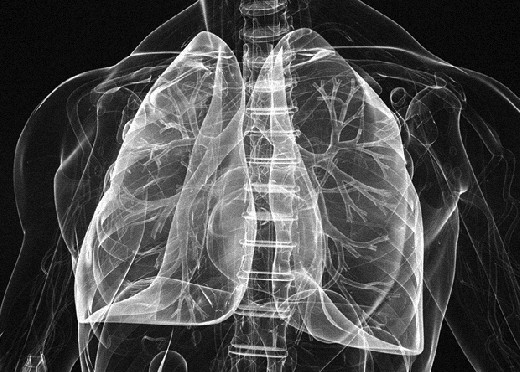 The Lancet: потеря емкости легких начинается в возрасте от 20 до 25 лет