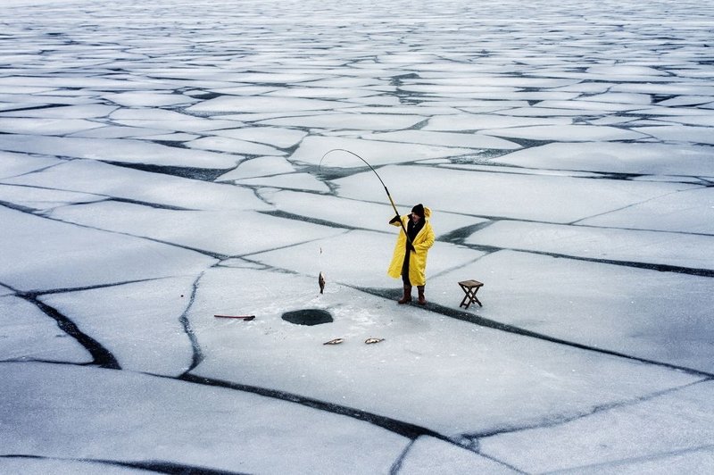 Подборка лучших фотографий, опубликованных журналом National Geographic в ноябре 2017 года national geographic, конкурс фотографии, фото