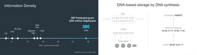 Когда у нас закончится место для хранения цифровых данных, мы будем использовать ДНК будущее