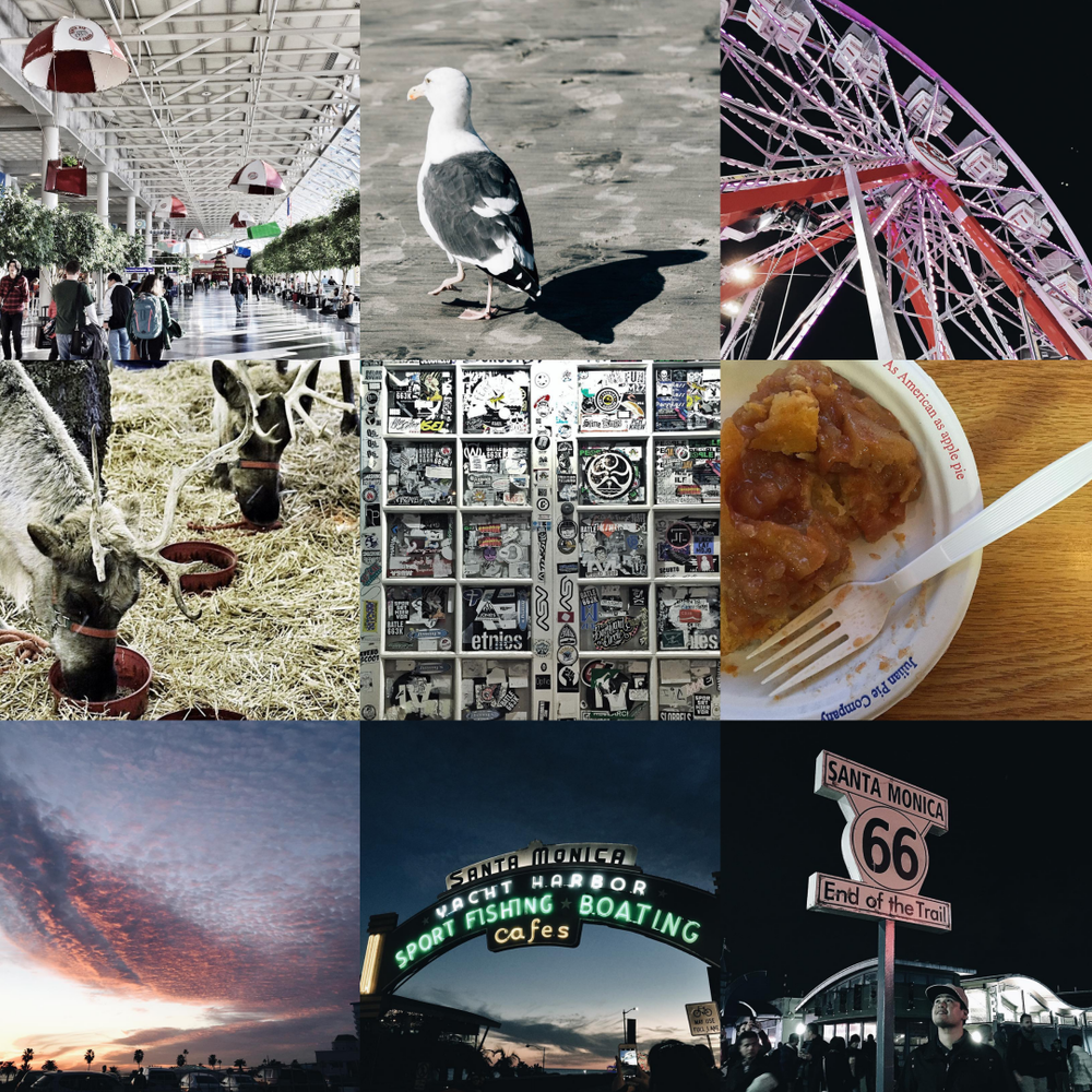 Insta Lately: Vol. 13 | SCATTERBRAIN