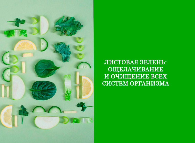 Листовая зелень: Ощелачивание и очищение всех систем организма зелень, овощи, система, салат, системы, листовой, синдром, листовую, стакана, болезнь, кислот, которые, овощей, рацион, простой, обязательно, плесенью, желудка, может, воспаление