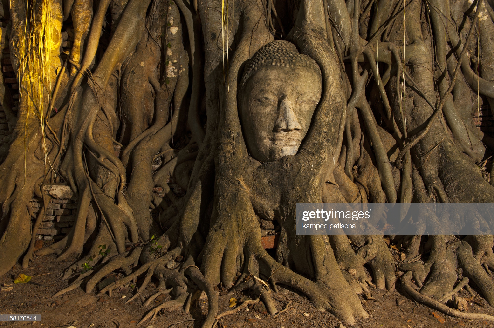 20 фото, которые подтверждают, что на нашей планете нет ничего могущественнее силы природы интересное,природа,фотография