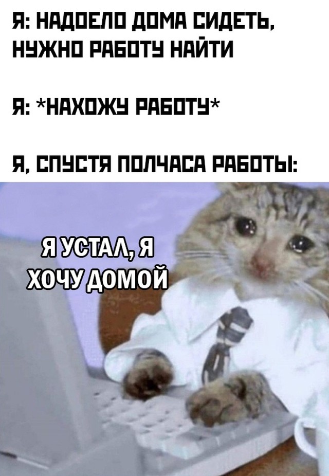 Подборка картинок. Вечерний выпуск  приколы,смешные картинки,юмор