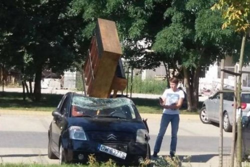 Что здесь происходит?! Что здесь происходит?! приколы,смешные картинки,юмор