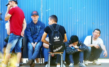 Заговор гастарбайтеров — они хотят 150 «тыщ» в месяц за уборку русской картошки