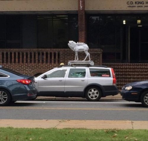 Что здесь происходит?! Что здесь происходит?! приколы,смешные картинки,юмор