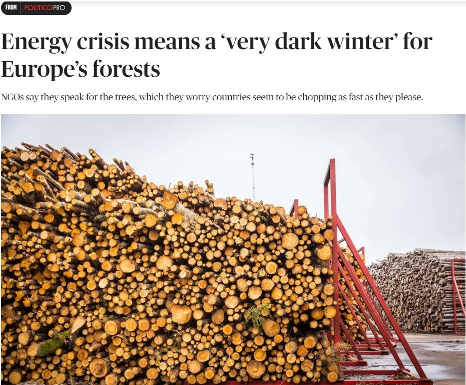 Европа без лесов