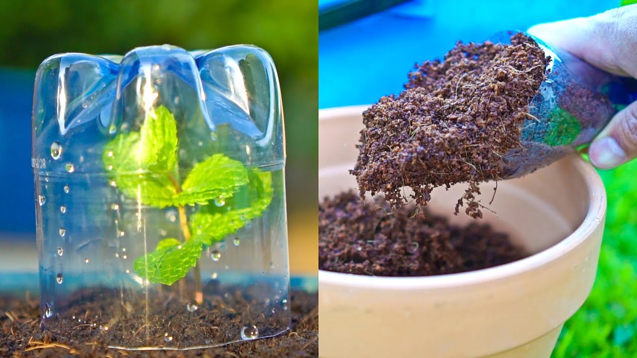 5 Plastic Bottle Gardening Hacks in 2 Min