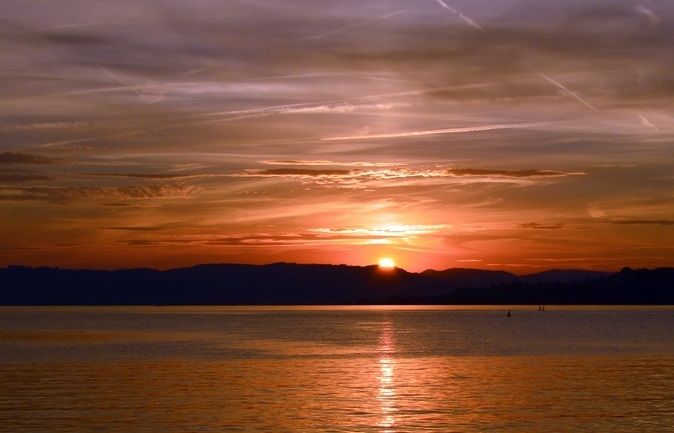 Труп утонувшего амурчанина нашли недалеко от базы отдыха под Благовещенском