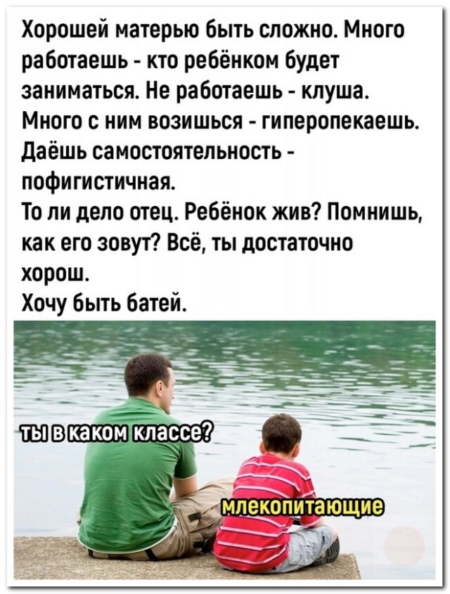 Небольшая коллекция смешных комментариев для хорошего настроения Небольшая коллекция смешных комментариев для хорошего настроения