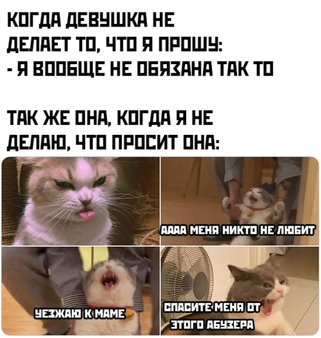 Подборка картинок. Вечерний выпуск  приколы,смешные картинки,юмор