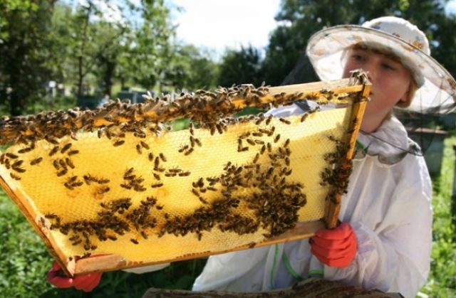 Школьные предметы, на которых дети не скучают