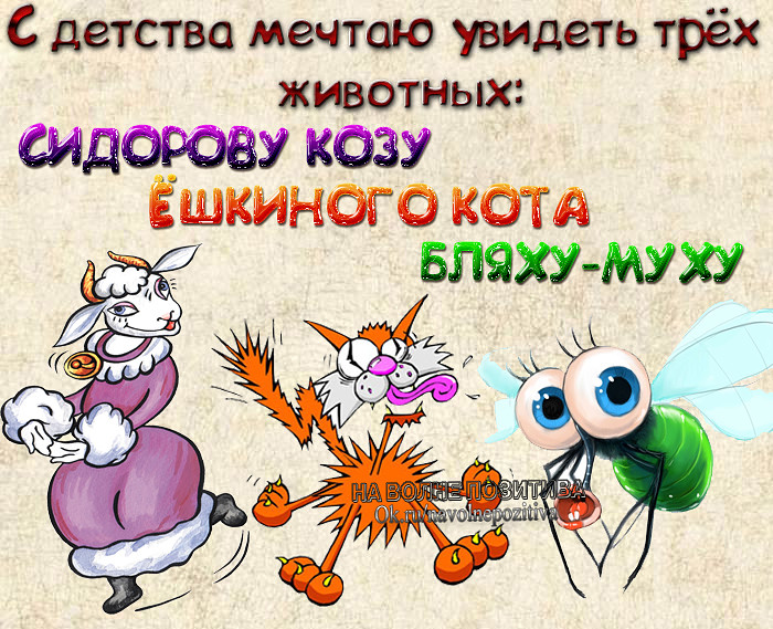 Картинки и статусы прикол