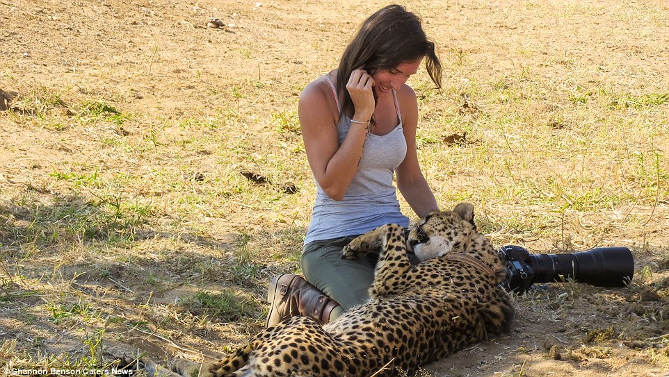 Бесстрашная фотограф из ЮАР, с которой дикие звери становятся ручными 