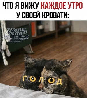 Дневник кота Василия апреля, марта, Вчера, потом, Хозяин, хозяйка, Сегодня, вчера, попугайчика, шторы, потому, вернулся, сразу, шкафа, нельзя, логика, логики, разрыдалась© , средневековое, мракобесие19