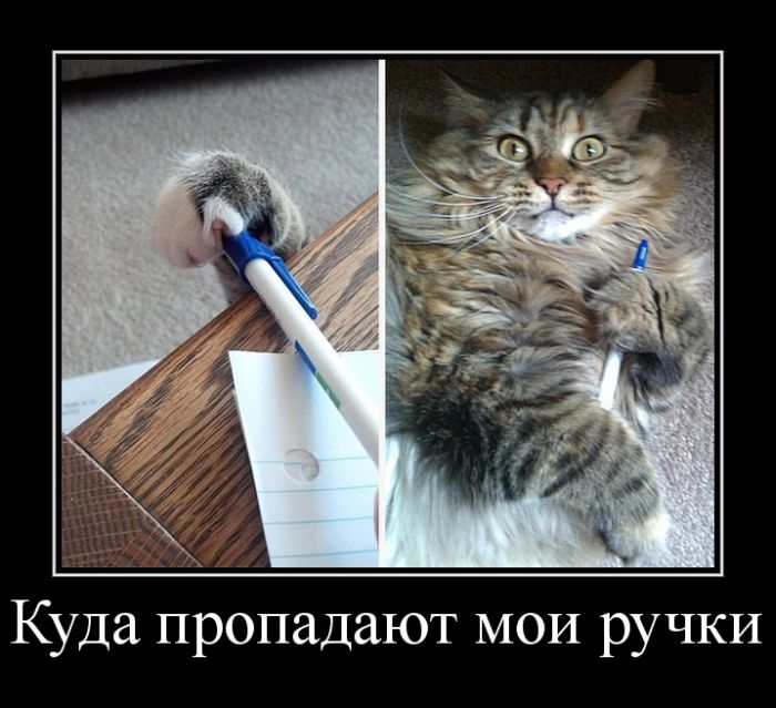 Подборка интересных и веселых картинок №33 демотиваторы