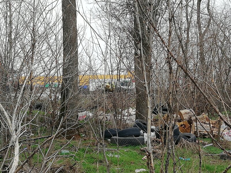 Про мусорный коллапс в Краснодаре Про мусорный коллапс в Краснодаре