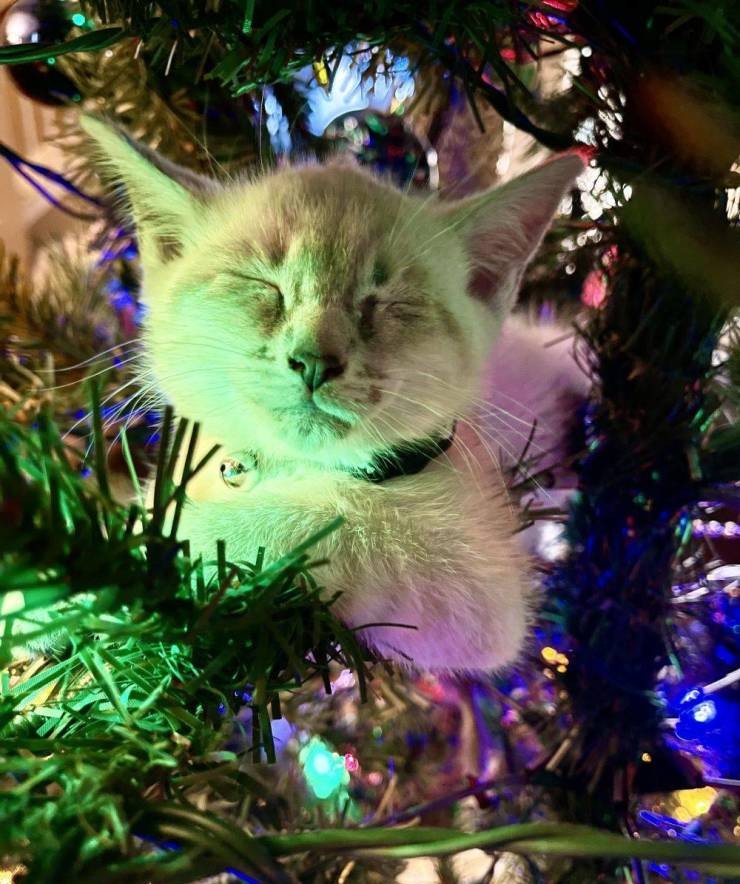 Подборка прикольных картинок  приколы,смешные картинки,юмор