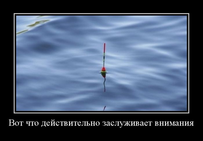 Подборка интересных и веселых картинок №33 демотиваторы