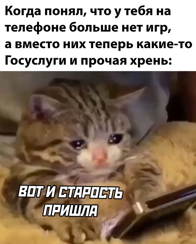 Подборка прикольных картинок  приколы,смешные картинки,юмор