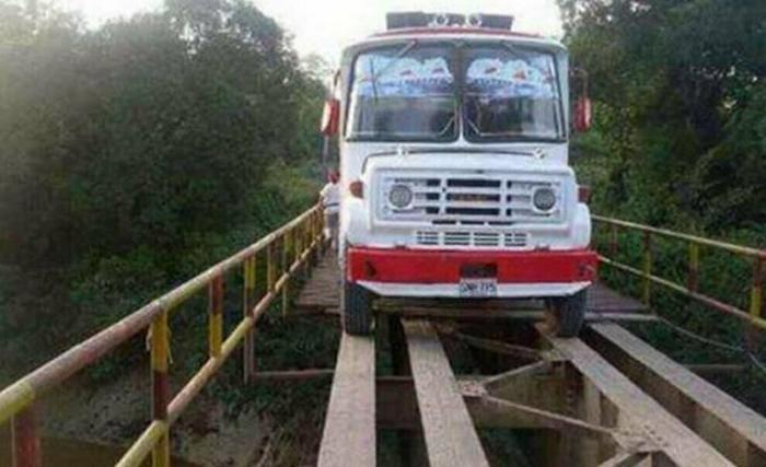 Без инстинкта самосохранения