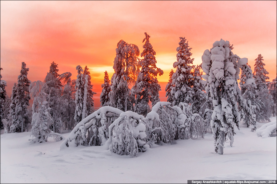 Зима в Лапландии / Winter in Lapland