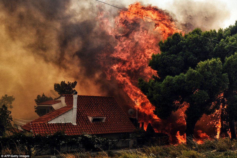 В Греции из-за лесных пожаров уже погибло 50 человек