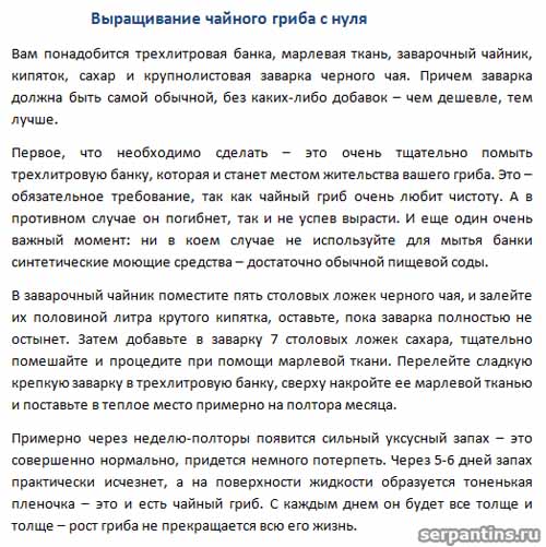 Чайный гриб как ухаживать и заваривать на 3 литровую банку рецепт с фото пошагово