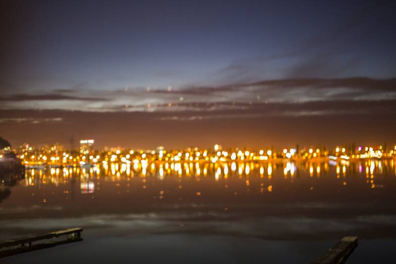 Записки Колорадского Таракана. Одинокий Чебурашка с мегафоном в ночи… украина