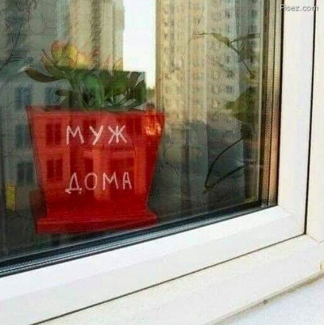 Что ни фото, то обязательно Хит! Что ни фото, то обязательно Хит! позитив,смешные картинки,фото-приколы,юмор