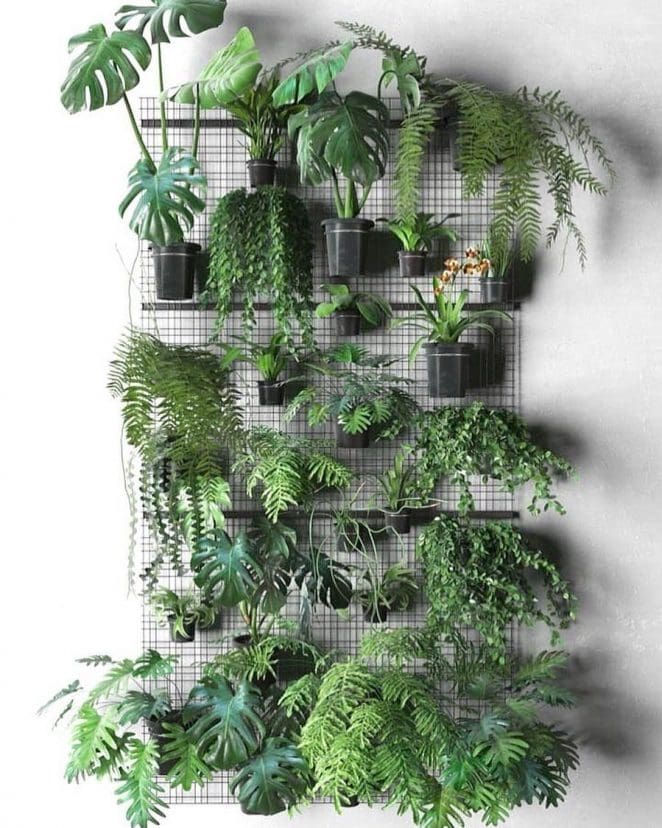 Как оформить зелёную стену из растений в доме: 14 идей стену, растений, Прекрасный, которая, зелёную, оформить, классных, Посмотрите, множество, воплощения, Вариантов, различных, состоит, стена, декор, зеленую, квартире, своей, Сделайте, хозяева