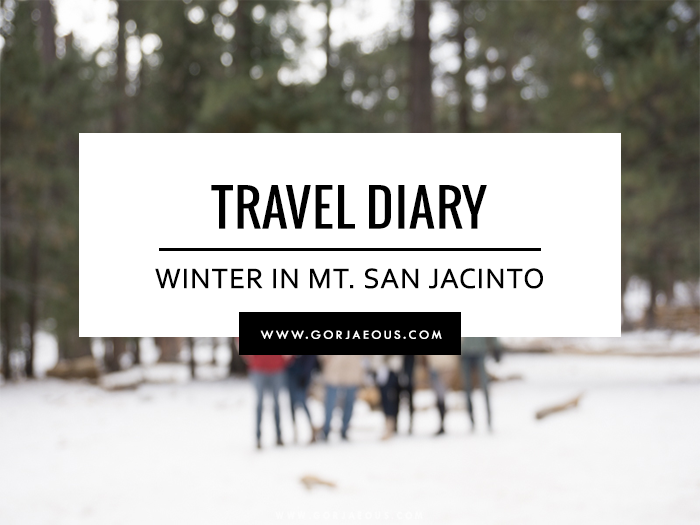 Travel Diary: Winter in Mt. San Jacinto State Park | SCATTERBRAIN