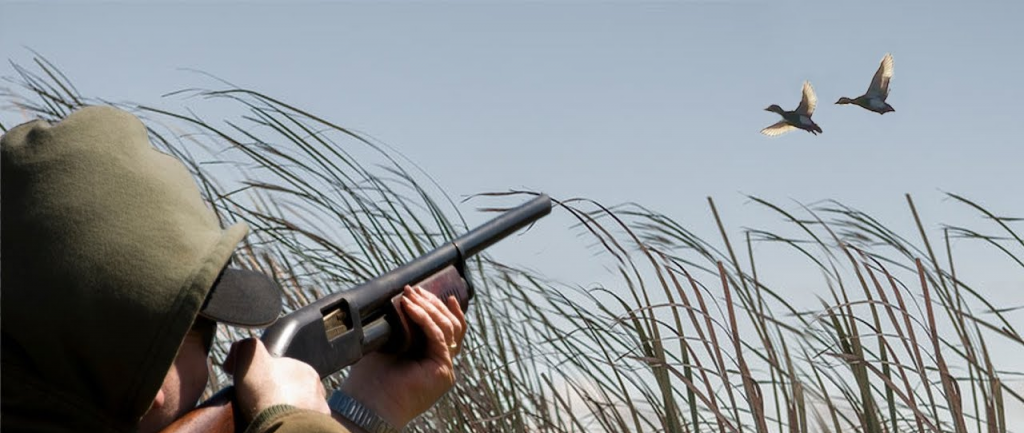 Охота на утку: 7 советов для осенней охоты