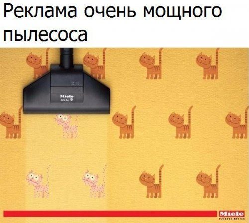 Приколы в фотомемах