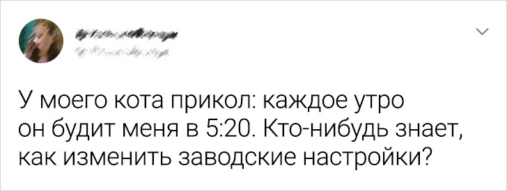 Без кота и жизнь не та Без кота и жизнь не та спасет, животное, спасёт, припёрсси , такую, свободу , хочет , режут, рядом, Потому, слезами , Горькими, плачет , Котэматрёшка Кот, лапки , пострадало , взгляда , планету , последний, Любовь