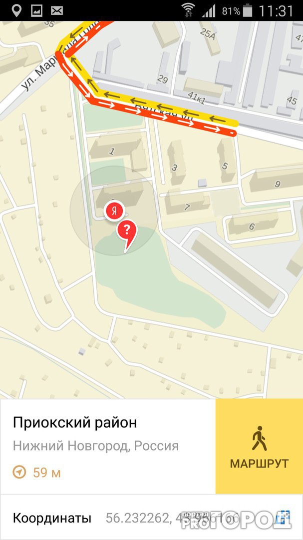 Активизация догхантеров