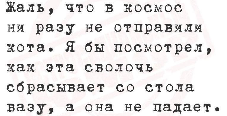 Скользкий пол в ЗАГСе сделал ответ жениха ещё ярче 