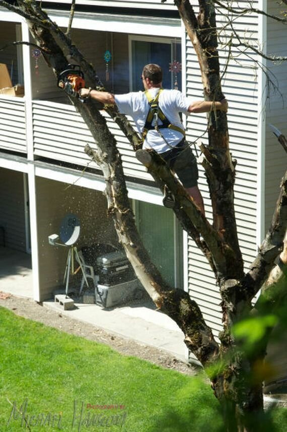 Без инстинкта самосохранения 