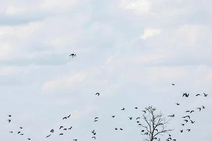 На территории еще одного российского региона уничтожили беспилотник