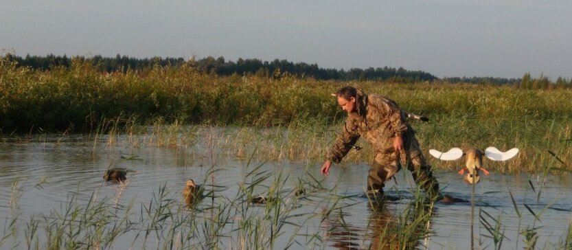 Охота на утку: 7 советов для осенней охоты