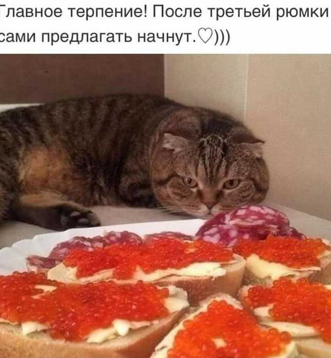 Нетрудно отдать жене всю зарплату. Труднее доказать, что это она вся. анекдоты