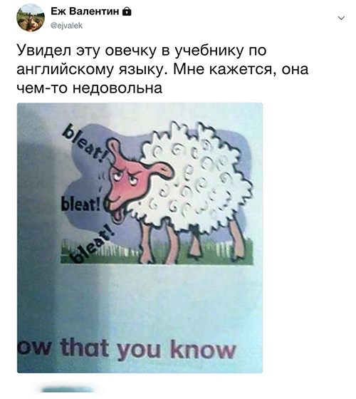 На что жалуетесь?  - Доктор, мне бабы не дают.. мужик, бегать, доказательство, матану, справиласьБлиин, никогда, молью, квартире, кошку, страницы, взять, пришлось, хатуВообщем, смотрит, стоит, потолок, написал, оказывается, кошки, пациент