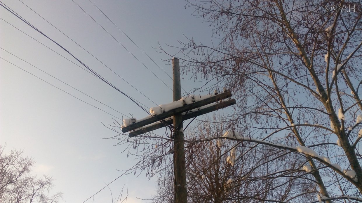 Нерасчищенная от леса и веток линия электропередач в деревне Пустошка