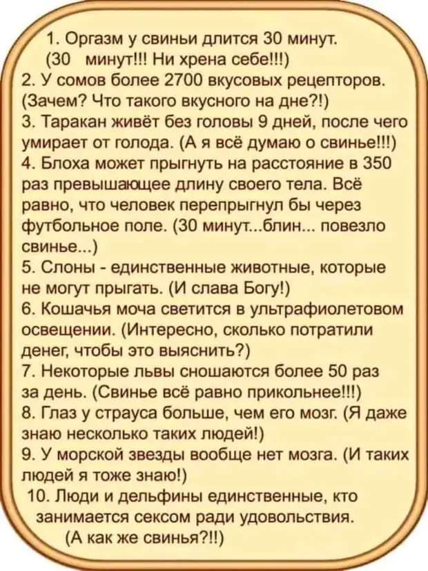 Профессор: - Какой самый выдающийся продукт подарила нам химия на сегодняшний день? - Блондинок Воронежская обл,[563094],г,Воронеж [561543],город Воронеж г,о,[95241116]