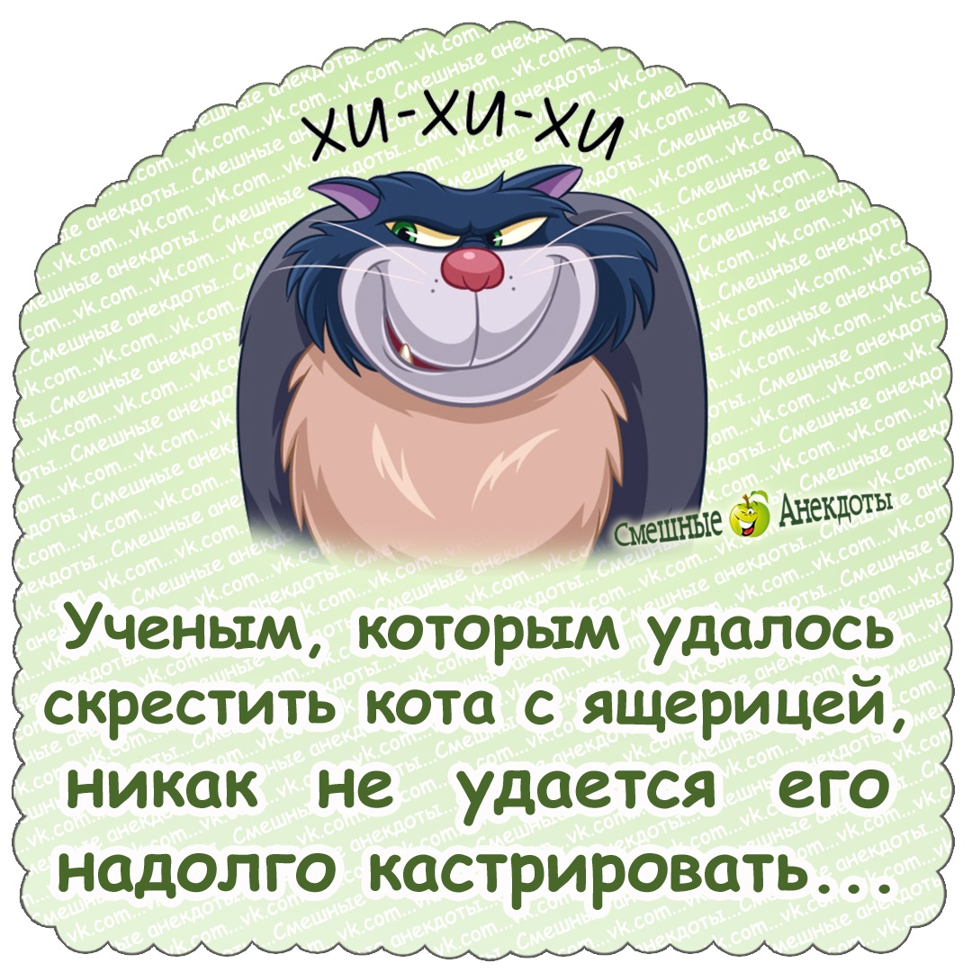 Юмор из интернета 754 Юмор из интернета 754 позитив,смех,улыбки,юмор